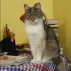 Отзыв от Елизавета Устинова